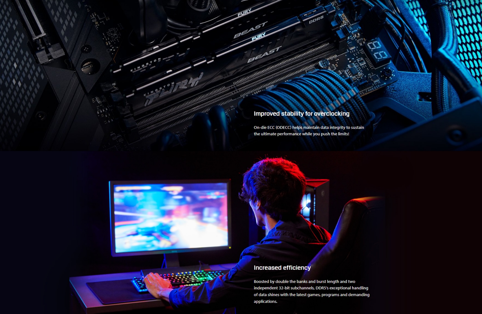 Fury-Beast-DDR5-Product-Description.jpg (781 KB)