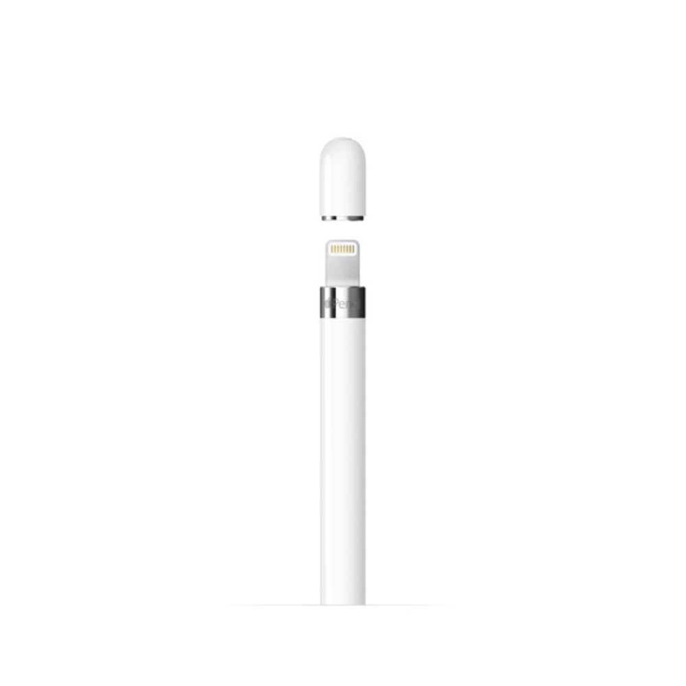 Apple Pencil (1st Generation) with USBC to Apple Pencil Adapter