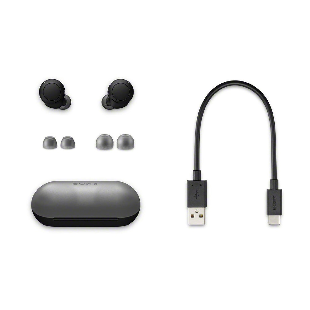 Sony WF-C500 True Wireless Earbuds | 20 hours Battery Life | IPX4 | Mono Mode