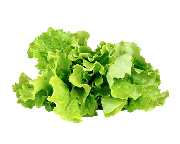 Click and Grow Plant Pods (Green Lettuce)