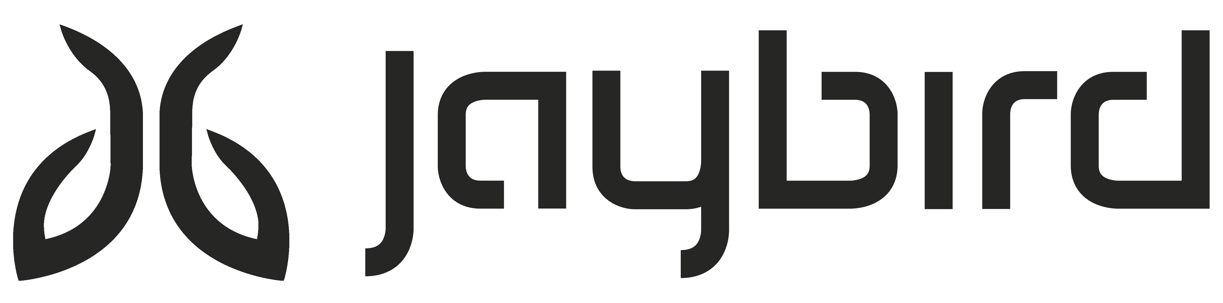 Jaybird Gym Duffle Bag