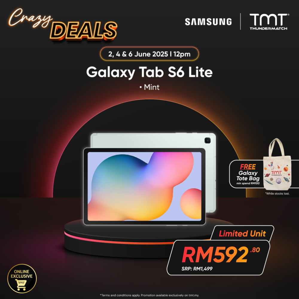 (Crazy Deals) SAMSUNG Galaxy Tab S6 Lite 2024 (10.4", WiFi)