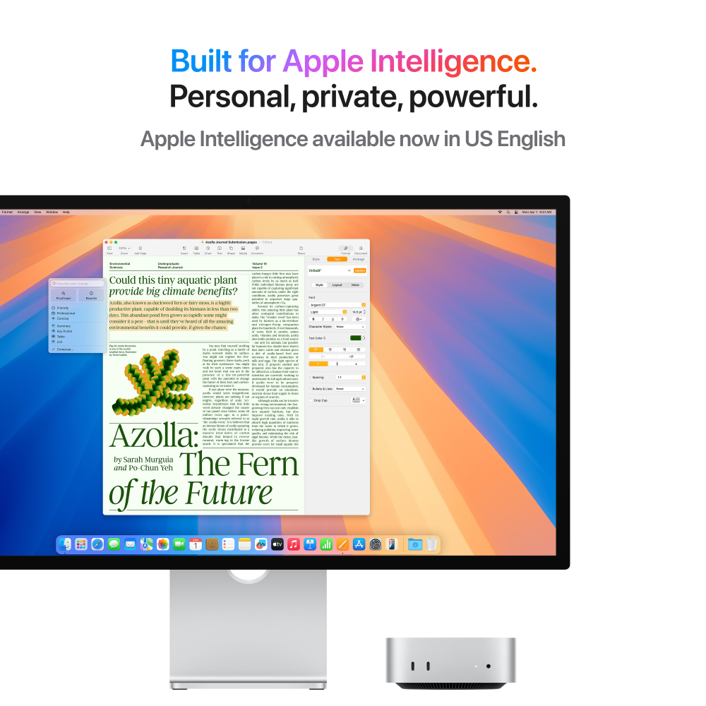 Apple Mac Mini (M4 Pro)