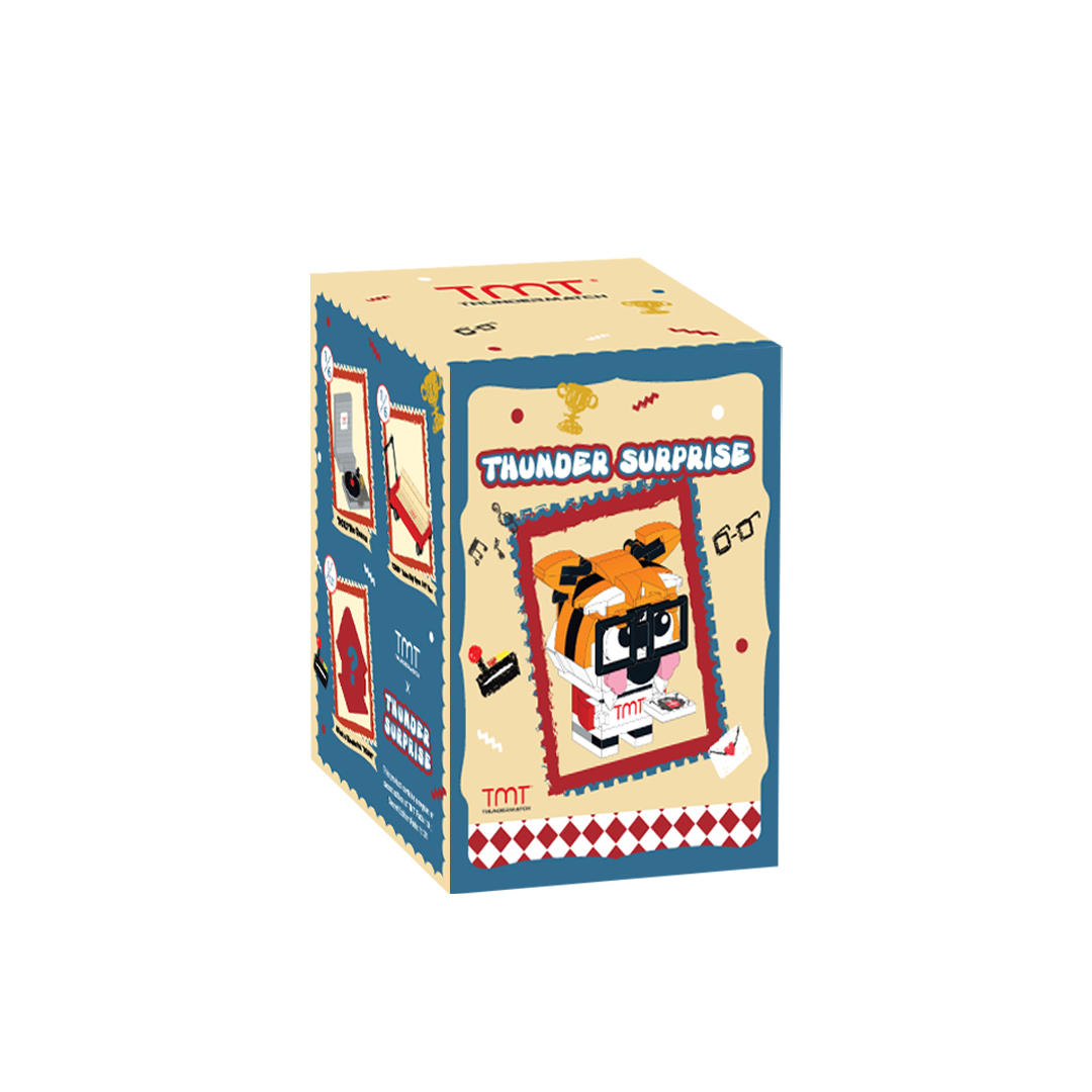 [NOT FOR SALE] TMT Surprise Blind Box