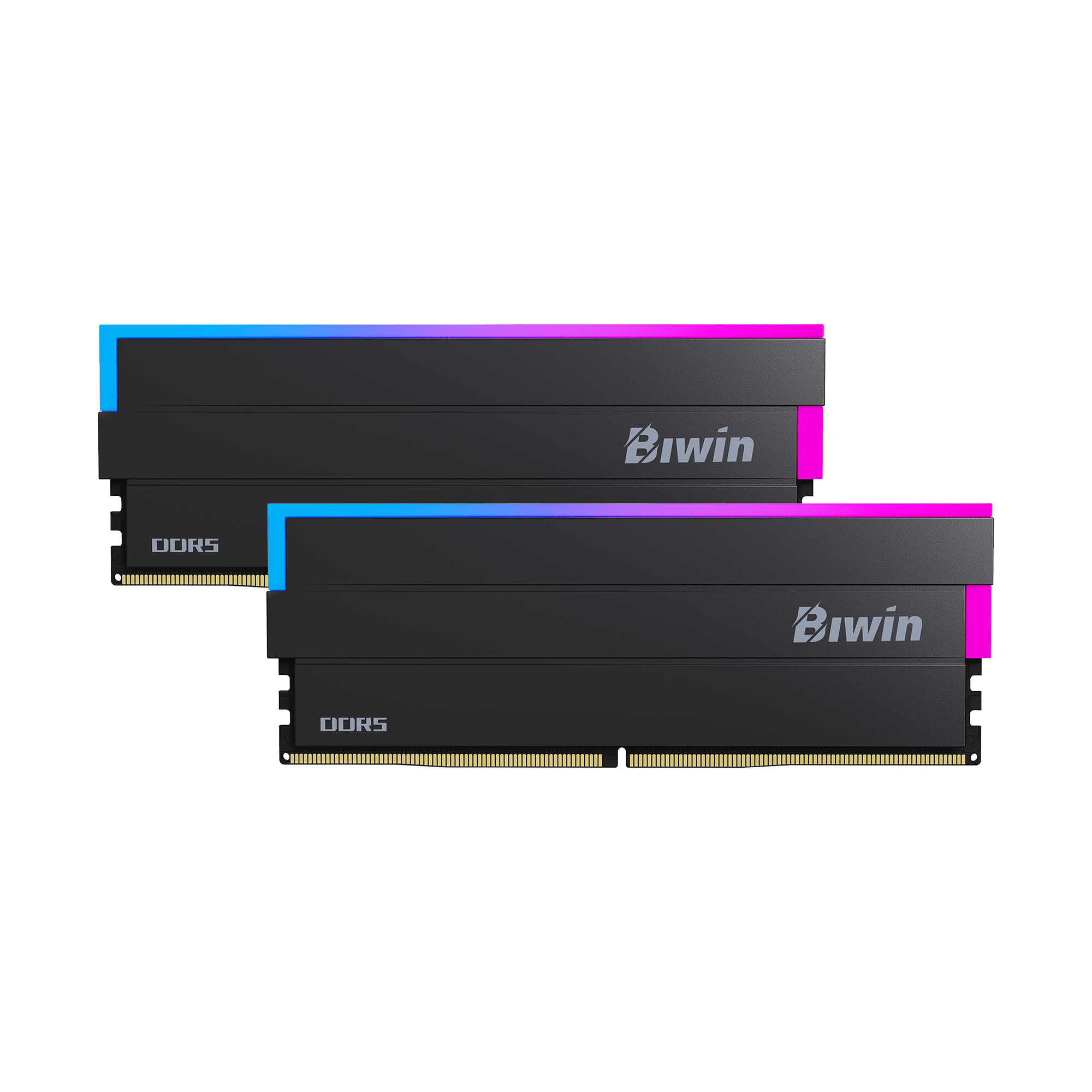 BIWIN DW100 RGB DDR5 Desktop RAM