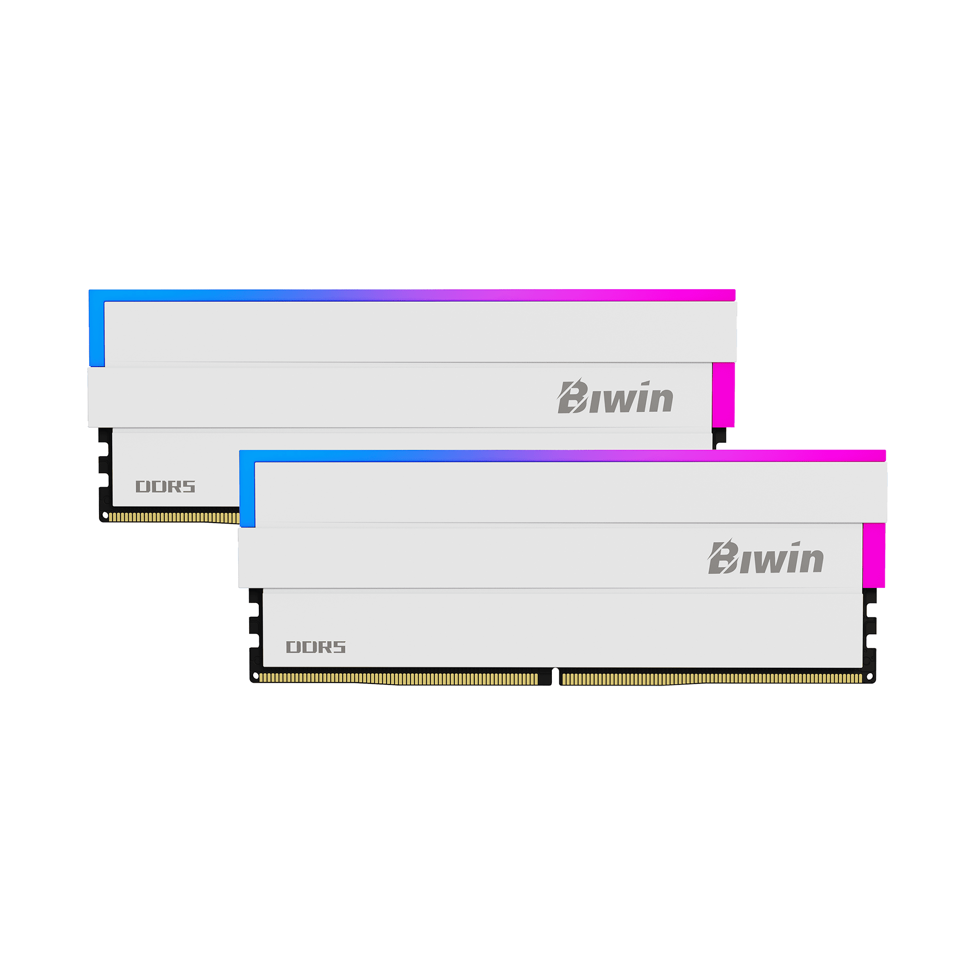 BIWIN DW100 RGB DDR5 Desktop RAM