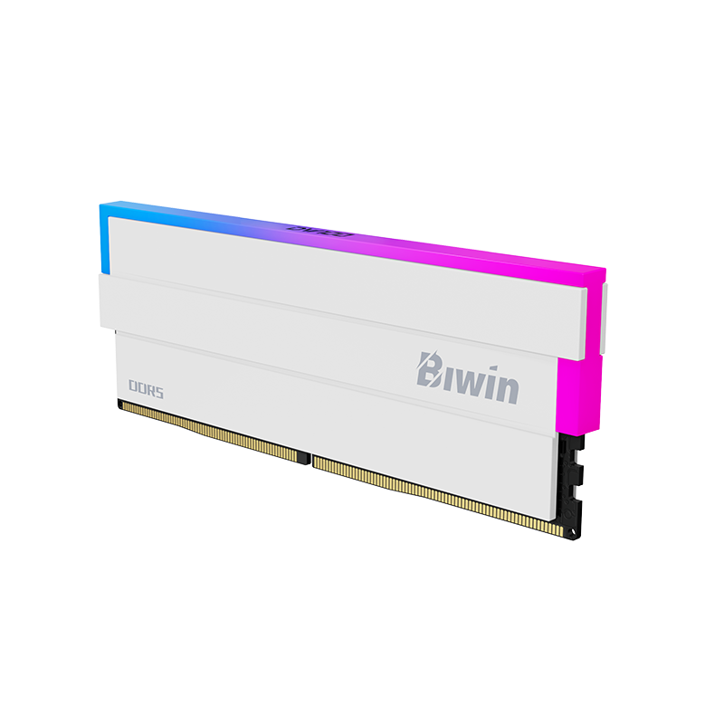 BIWIN DW100 RGB DDR5 Desktop RAM