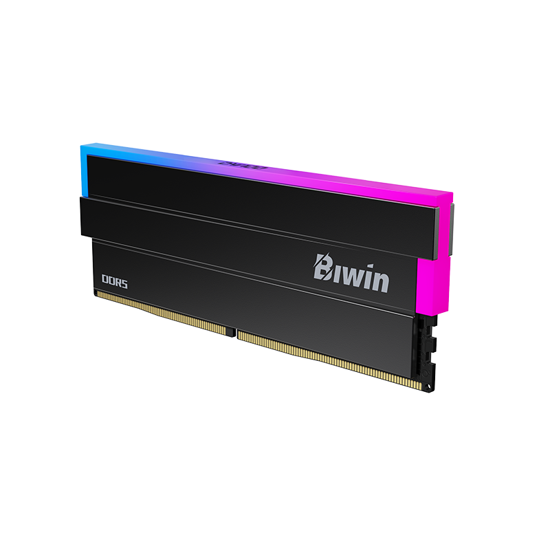 BIWIN DW100 RGB DDR5 Desktop RAM