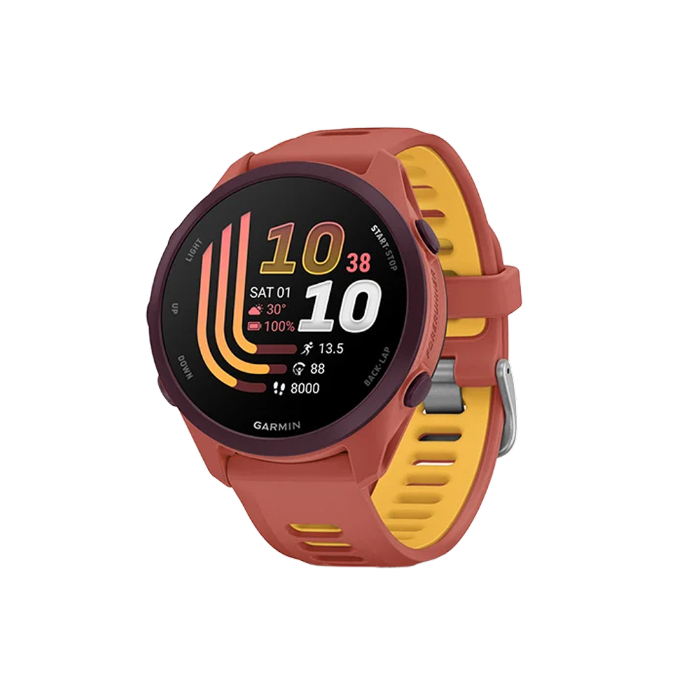 Garmin Forerunner 170 GPS Running Smartwatch