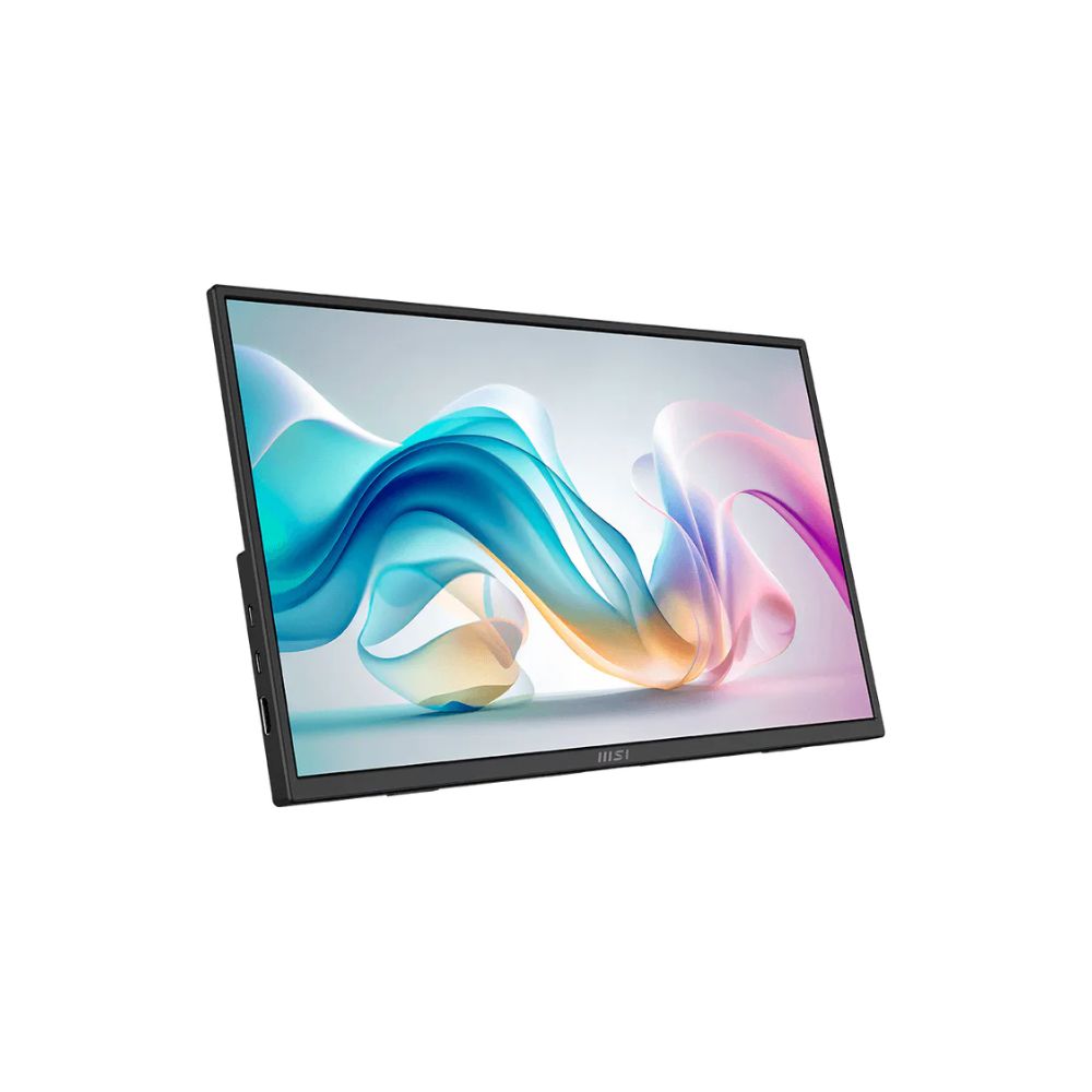 MSI Pro MP165 E6 Portable Monitor | 1920 x 1080