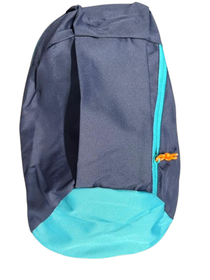 [Redeem] Leisure Travel Backpack