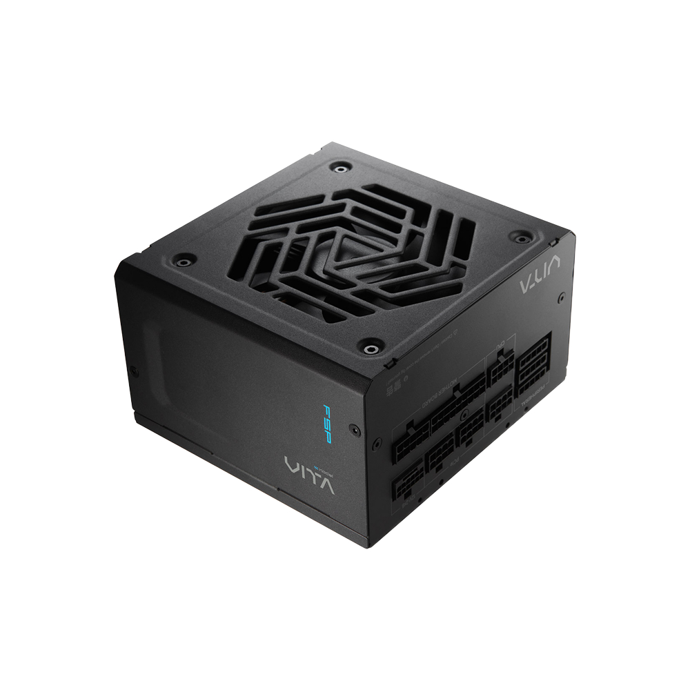 FSP VITA PM (1000W) Cybenetics 80PLUS PLATINUM ATX Power Supply