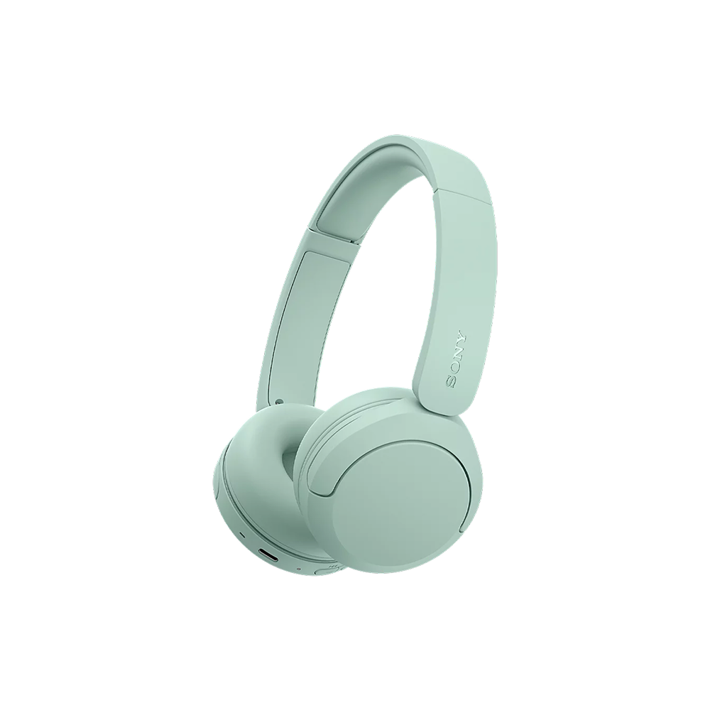 Sony WH-CH530 Wireless Headphones