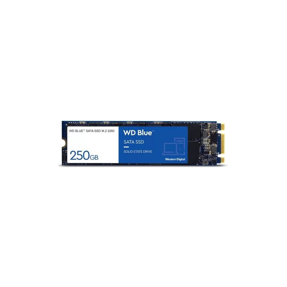 WD Blue 2.5" SSD