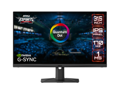 MSI MAG321QR-QD 31.5" Gaming Monitor | 2560 x 1440