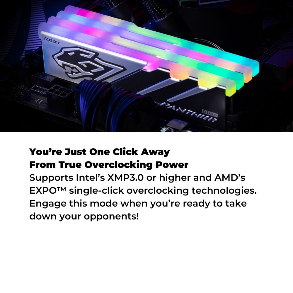 Apacer Panther RGB DDR5 Desktop Ram DIMM Kit of 2