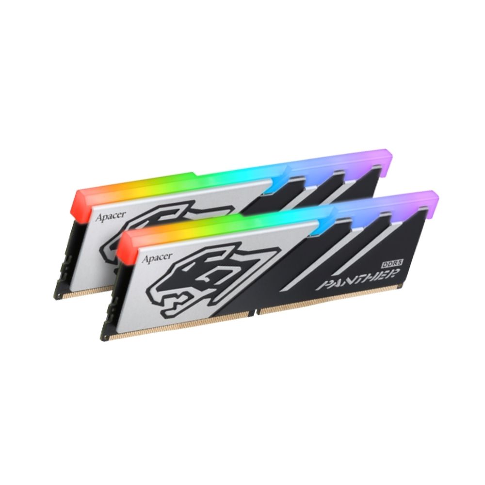 Apacer Panther RGB DDR5 Desktop Ram DIMM Kit of 2